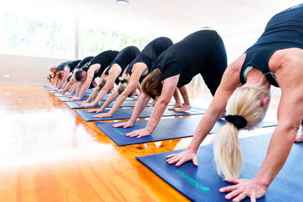 New Dawn Pilates & Yoga - Pilates In Cleveland