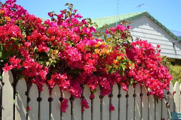 B and R Tree Services - Tree Surgeons & Arborists In Eatons Hill