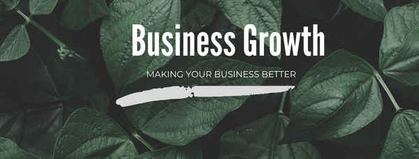 Business Growth - Business Consultancy In Tapping