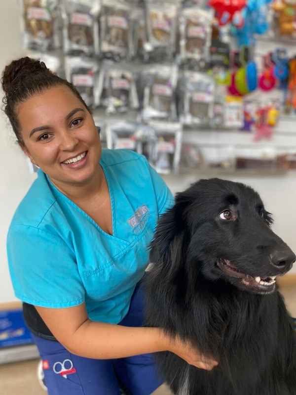 Challenger Veterinary Hospital - Veterinarians In Kwinana Town Centre