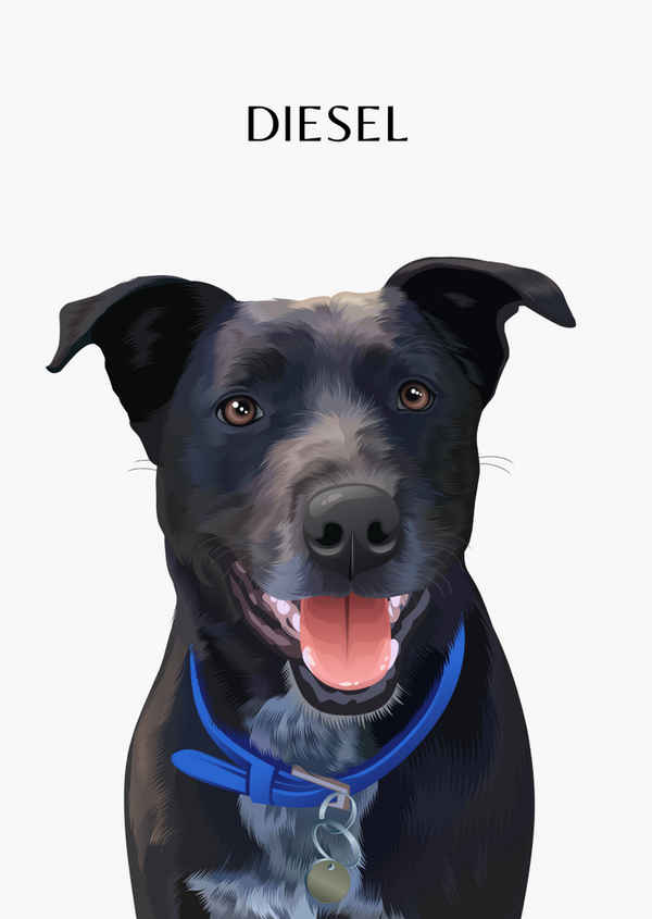 Designer Pet Portraits - Pet & Animal Services In North Sydney