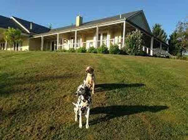 Wiggley Bottom farm - Bed & Breakfast In Badger Creek