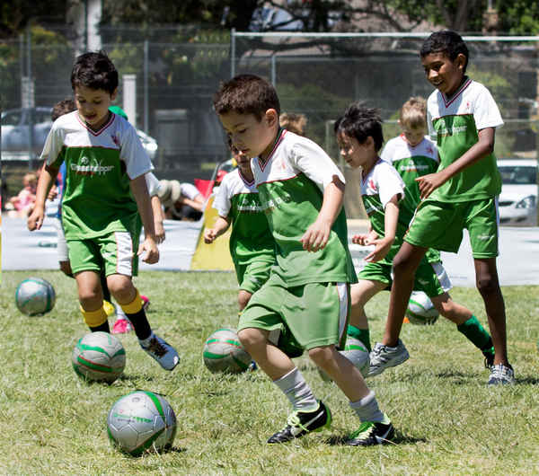 Grasshopper Soccer - Sports Clubs In South Perth