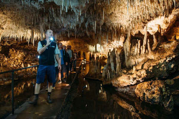 Harvest Tours - Tours In Margaret River