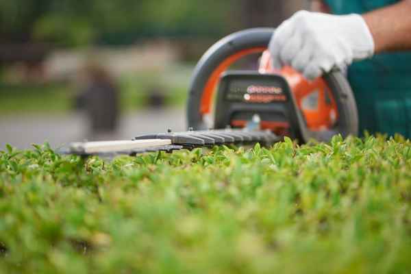 South Burnett Yard Care - Gardeners In Taabinga