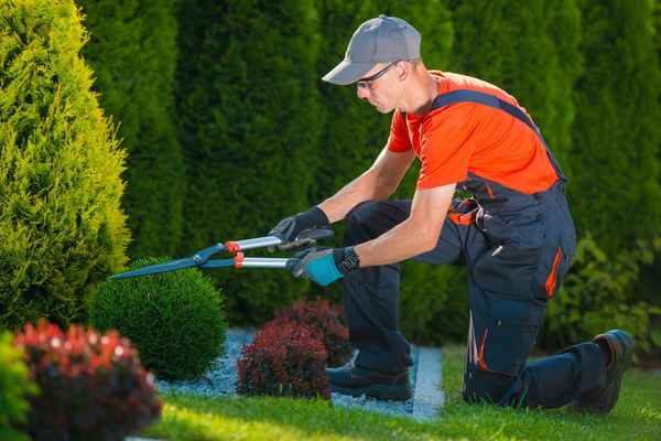 Lawn Street - Gardeners In Sydney