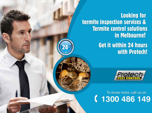 Protech Pest Control - Pest Control In Campbellfield