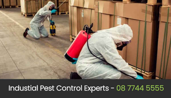 Eco Pest Control Perth - Pest Control In West Perth