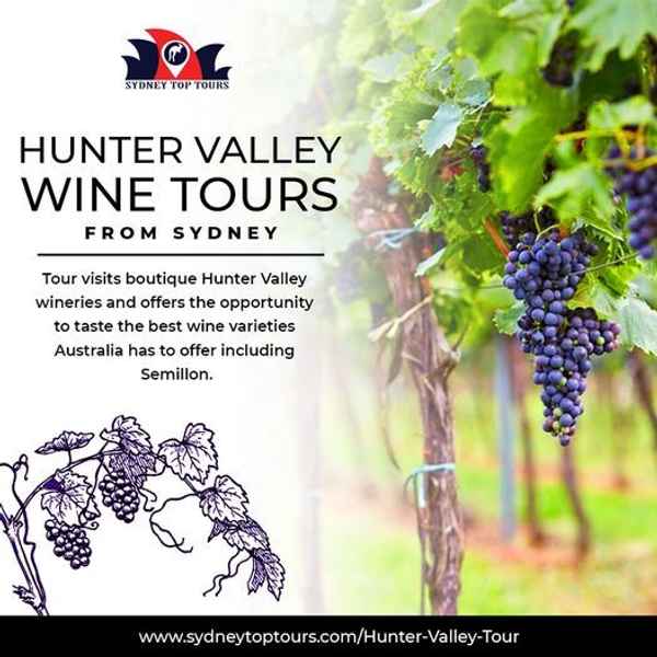 Hunter Valley Wine Tours - Tours In Pokolbin