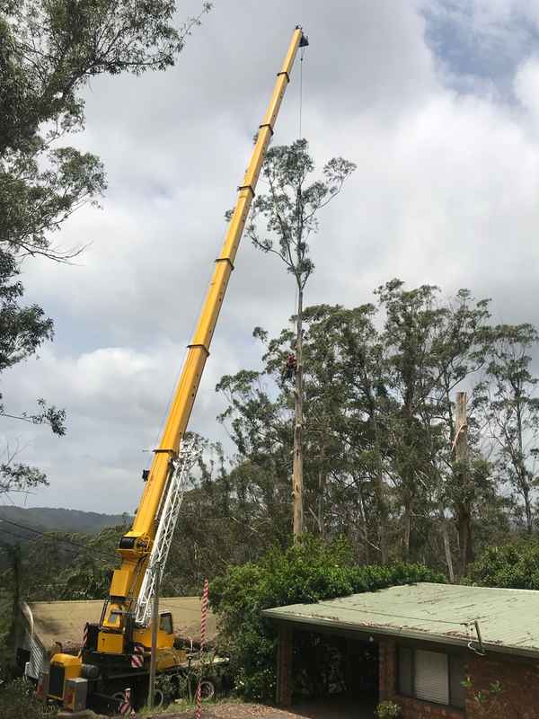 Coastal Arbor Pty Ltd - Tree Surgeons & Arborists In Terrigal