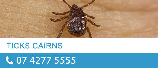 Pro Pest Control Cairns - Pest Control In Cairns City