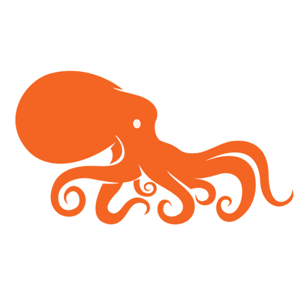 Octopus Digital - Web Designers In Malvern East