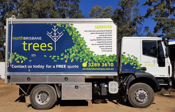 North Brisbane Trees - Tree Surgeons & Arborists In Yugar