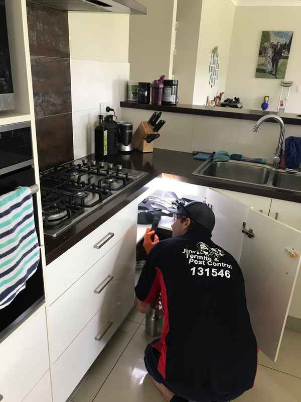 Jim’s Pest Control Sydney - Pest Control In Sydney