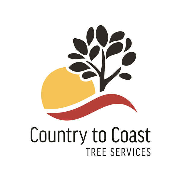 Country to Coast Tree Services - Tree Surgeons & Arborists In Riddells Creek