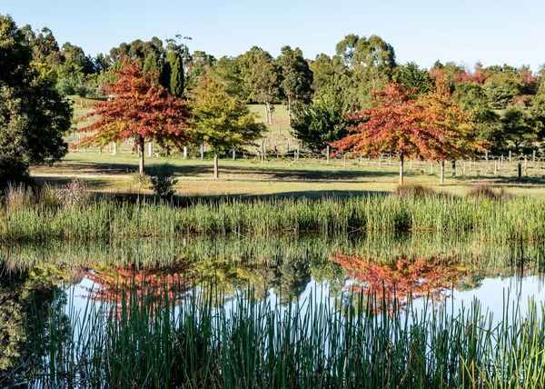 Wooling Hill Memorial Estate - Funeral Services & Cemeteries In New Gisborne