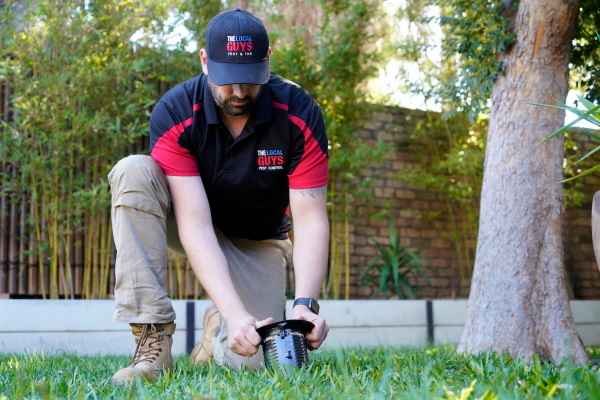 The Local Guys - Pest Control - Pest Control In Brooklyn Park