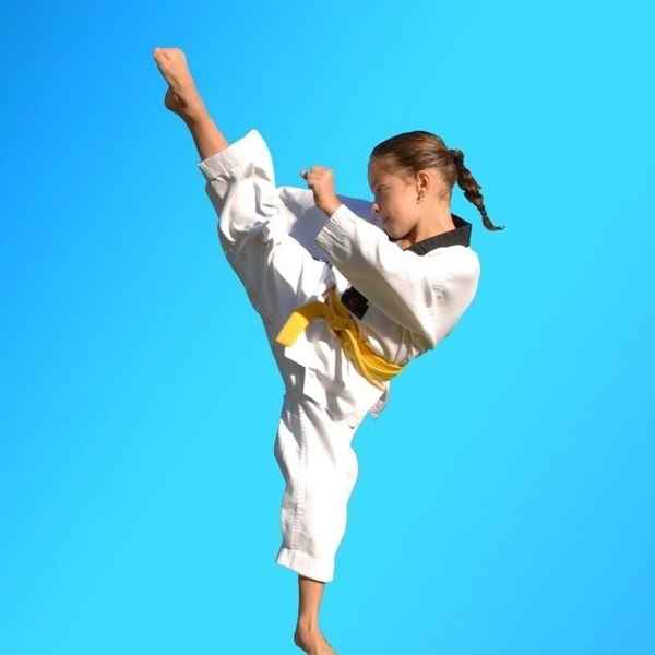 Pinnacle Martial Arts in Earlwood - Martial Arts Schools In Earlwood