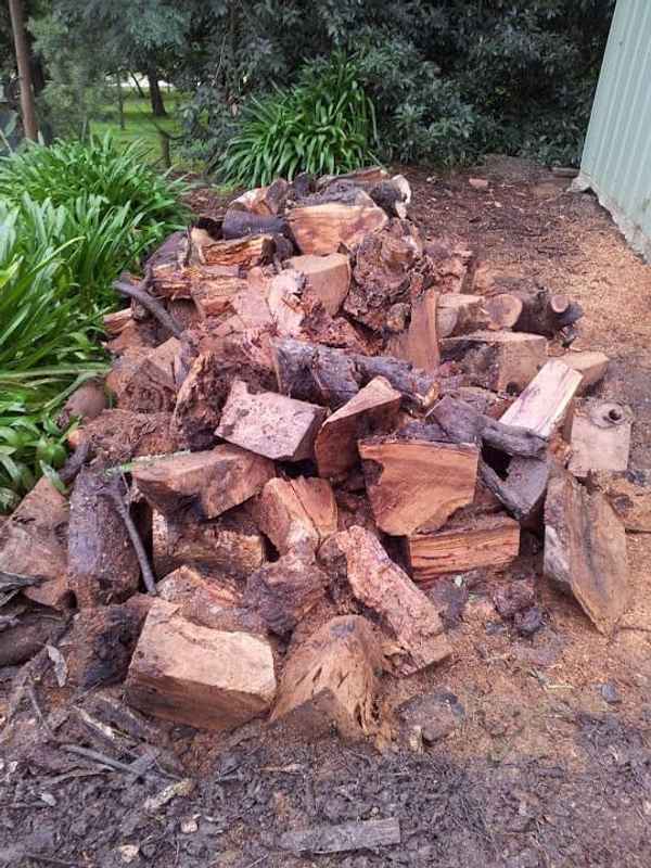 Joel's Tree Services - Tree Surgeons & Arborists In Narre Warren South