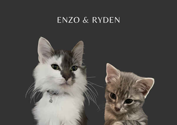 Designer Pet Portraits - Pet & Animal Services In North Sydney