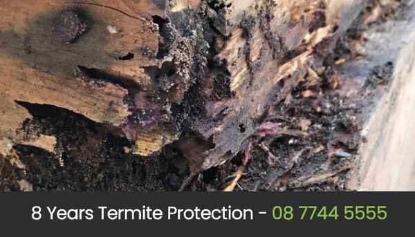 Eco Pest Control Perth - Pest Control In West Perth