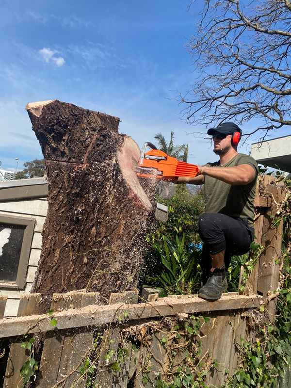 Harrys yard - Tree Surgeons & Arborists In Essendon