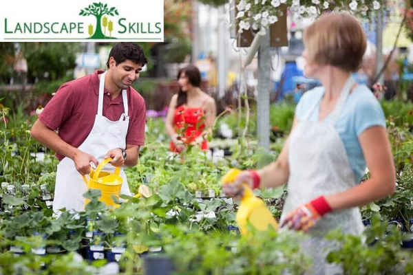 Landscape Skills - Small Business and Landscape Courses - Education & Learning In Brisbane