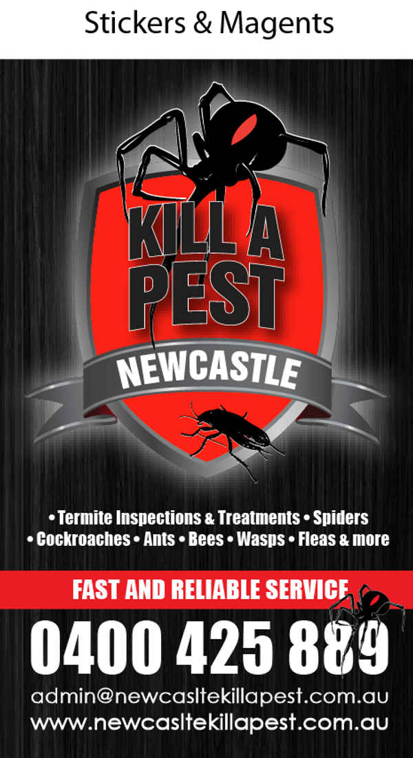 Newcastle Kill A Pest - Pest Control In Wangi Wangi 2267