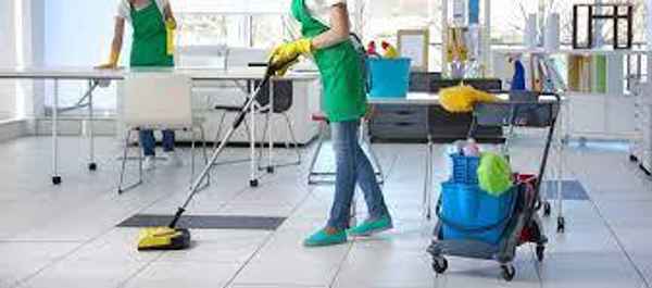 STS Hygiene - Cleaning Services In Mount Ommaney