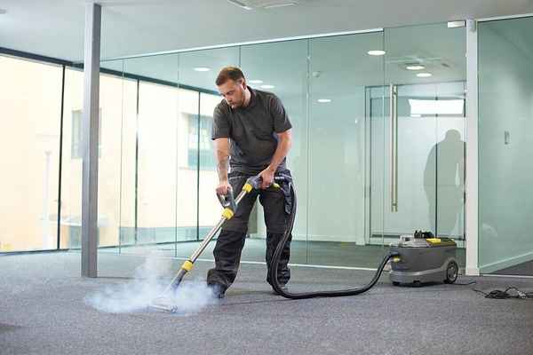 Eco Carpet Cleaning Brisbane - Cleaning Services In Milton