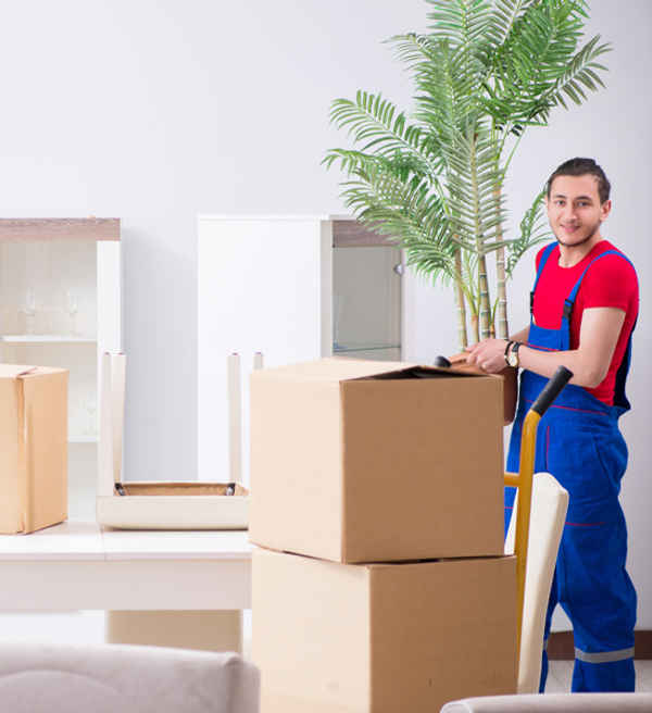 Better Removalists Gold Coast - Removalists In Arundel 4214