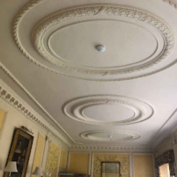 Thorne Decorative Plasterwork - Plasterers In Five Dock