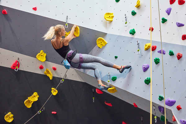 CLIMBFIT KIRRAWEE - Gyms & Fitness Centres In Kirrawee