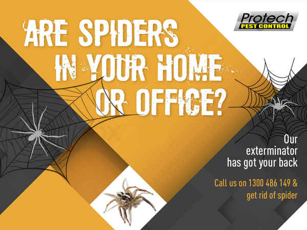 Protech Pest Control - Pest Control In Campbellfield