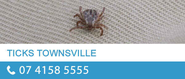 Pro Pest Control Townsville - Pest Control In South Townsville