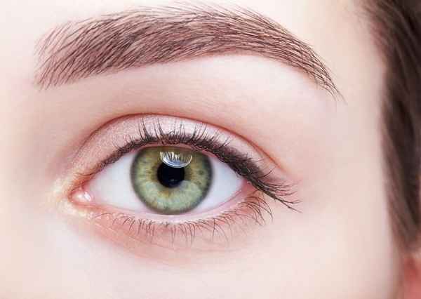 ARDOUR Brows & Lashes - Beauty Salons In South Yarra 3141