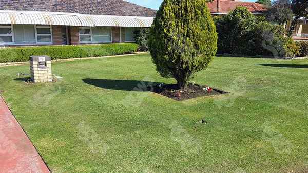 Mow's Landscaping + Garden + Home Care - Gardeners In Perth