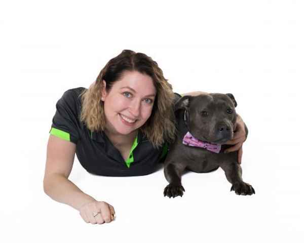 Eazy Dog Training - Pet Trainers In Stanmore