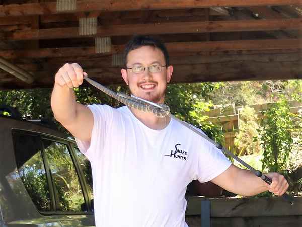 The Snake Hunter - Pest Control In Diamond Creek