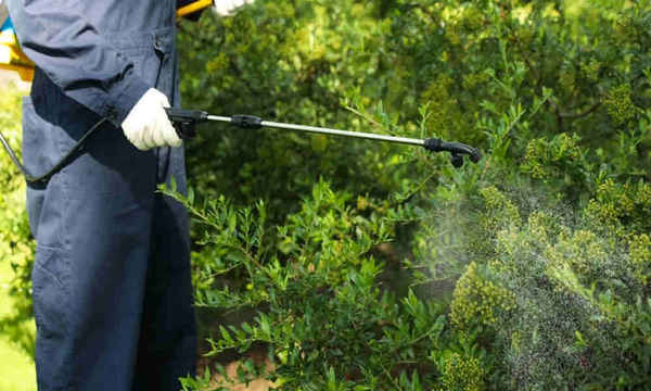 EPM Pest Control Brisbane - Pest Control In Brisbane City