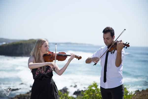 Q Strings - Wedding Supplies In Wollongong