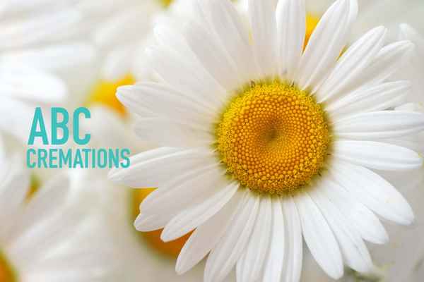 ABC Cremations - Funeral Services & Cemeteries In Moorabbin