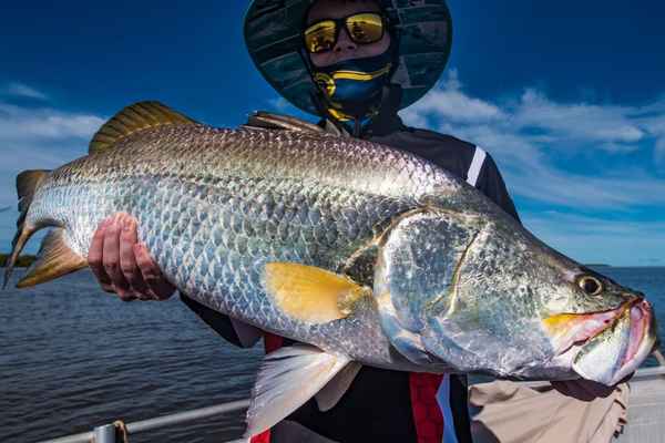 Vision Sport Fishing - Fishing Charters In Darwin City