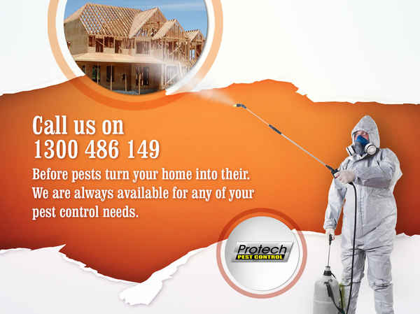 Protech Pest Control - Pest Control In Campbellfield