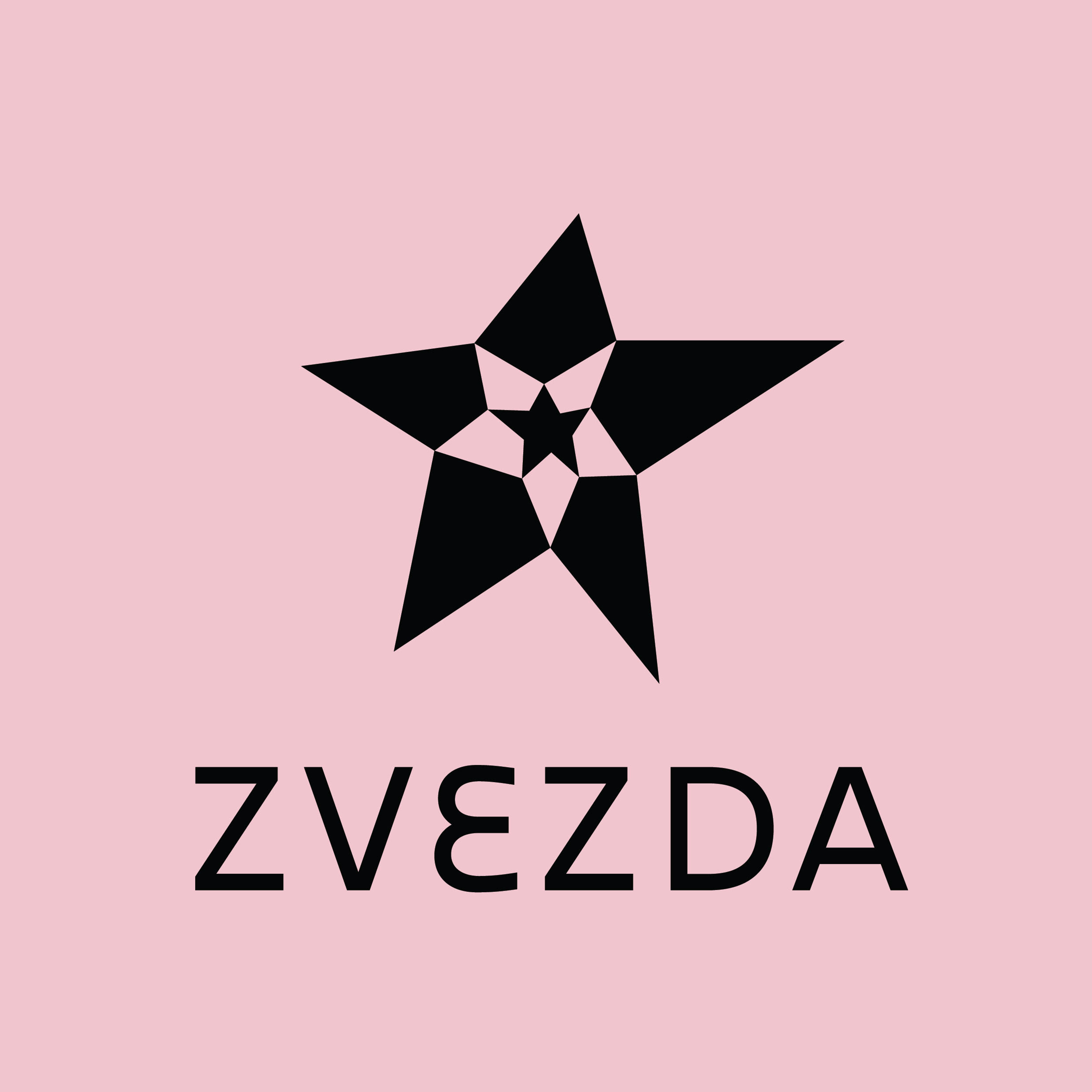 Chef Zvezda Catering