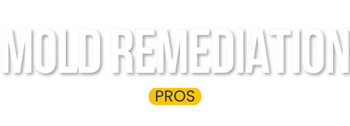 Haddonfield New Jersey Mold Remediation Pros