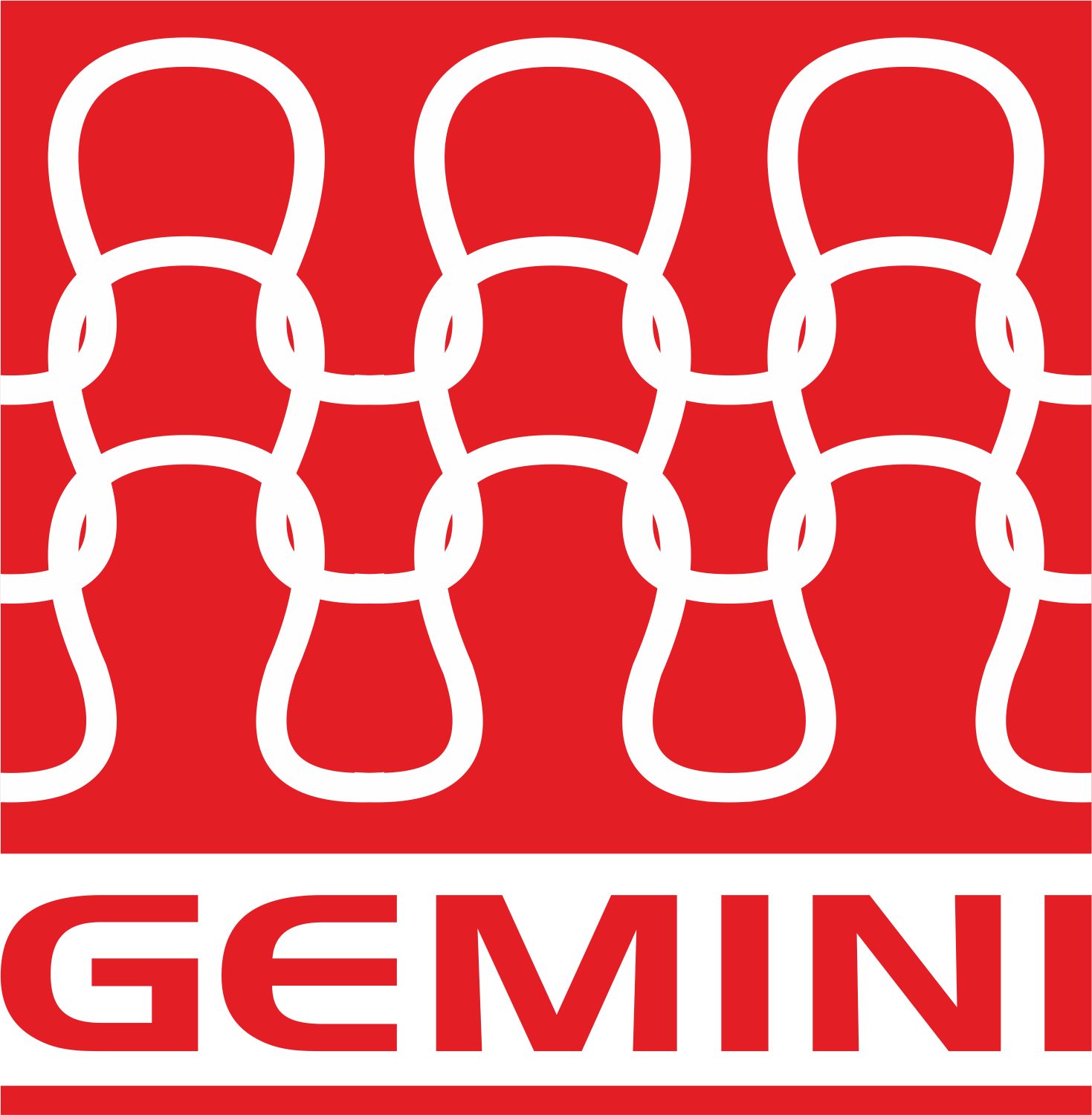 Freelance 20 Gemini