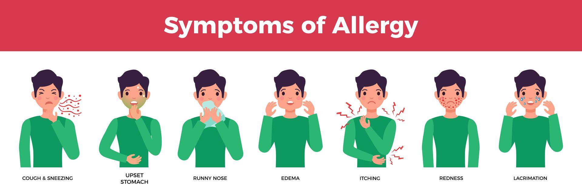 The Allergy Truce: Brokered by Your Gut banner