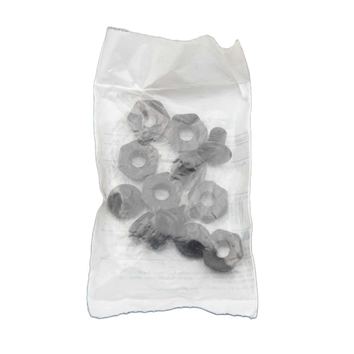 Plastic Bolt & Nut 5/16-18 Thread (Bag of 6)