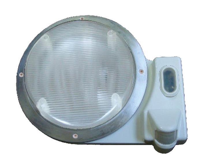 ROUND SCARE MOTION LIGHT